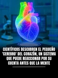 Coherencia corazón-cerebro